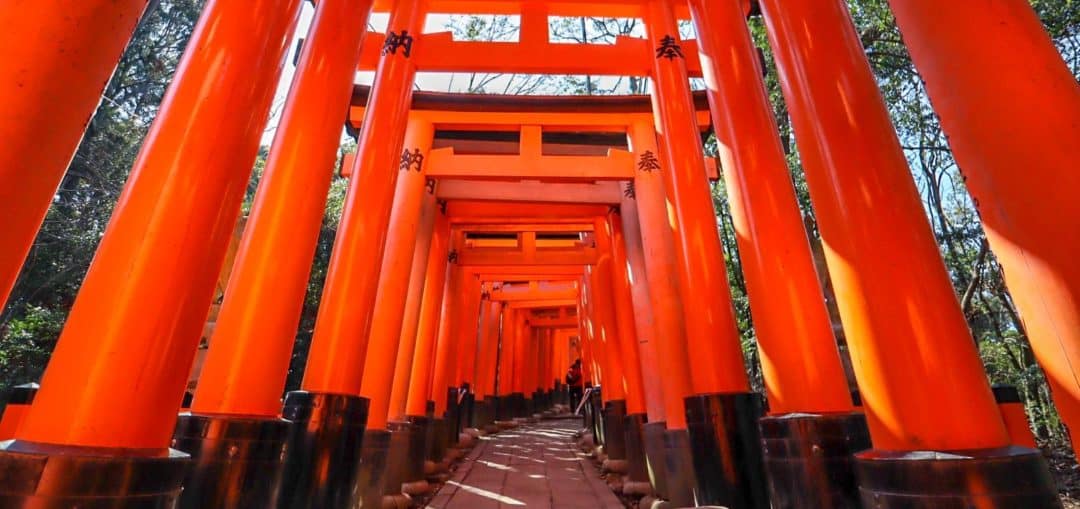 The Wandering Quinn Travel Blog Osaka to Kyoto Day Trip