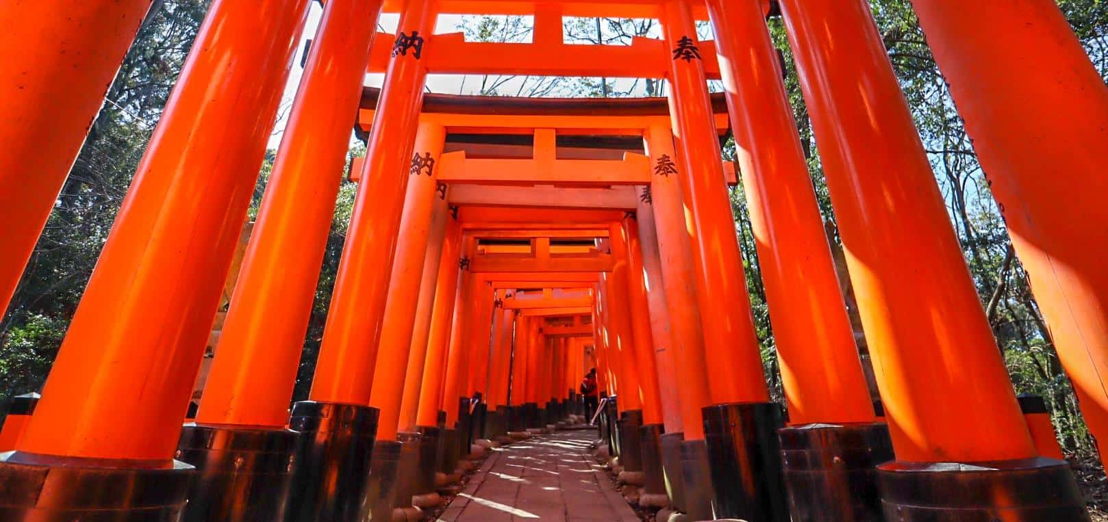 Osaka to Kyoto Day Trip