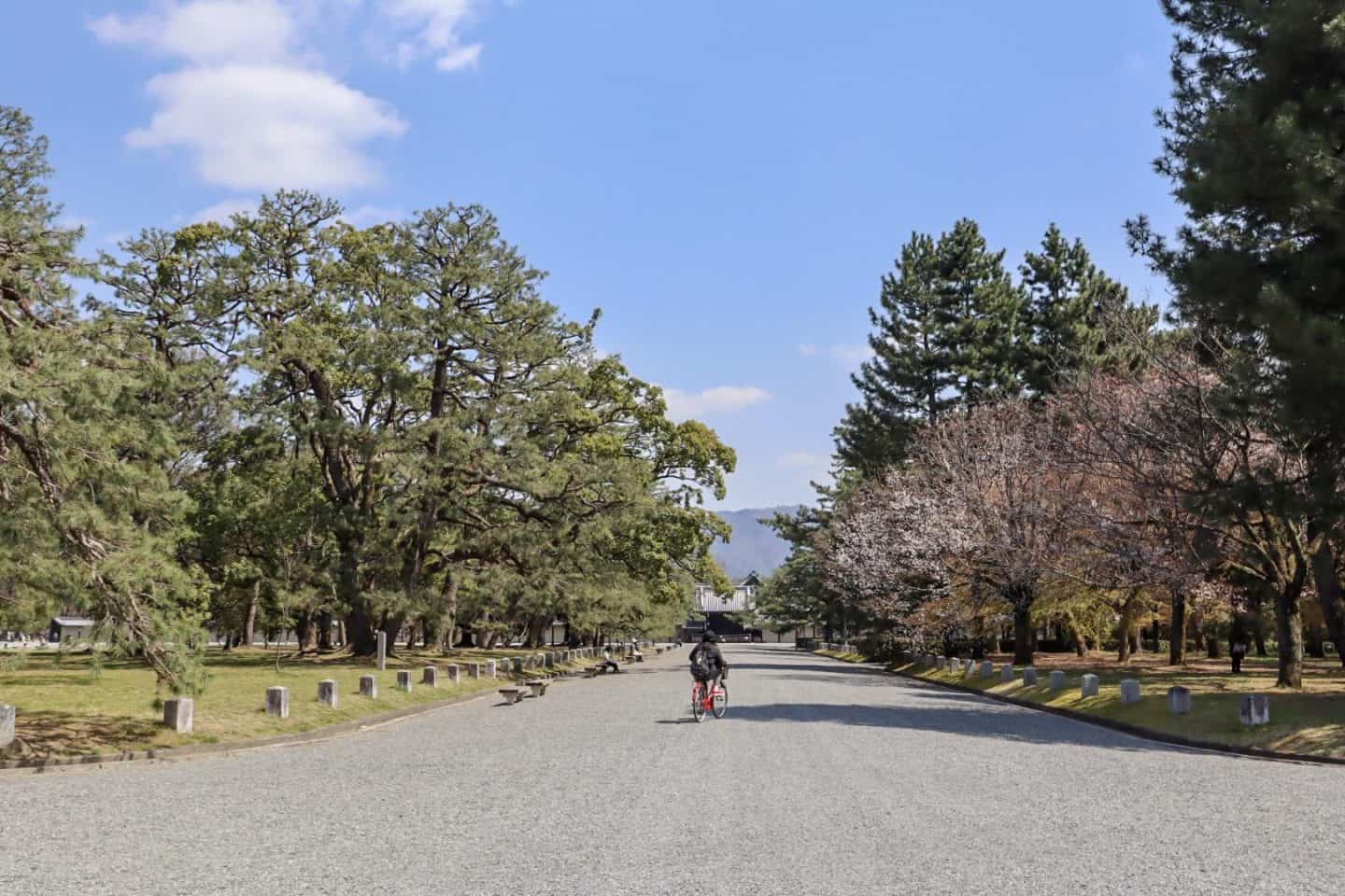 Kyoto Park - Kyoto 1 Day Itinerary, Kyoto day trip itinerary Kyoto Park