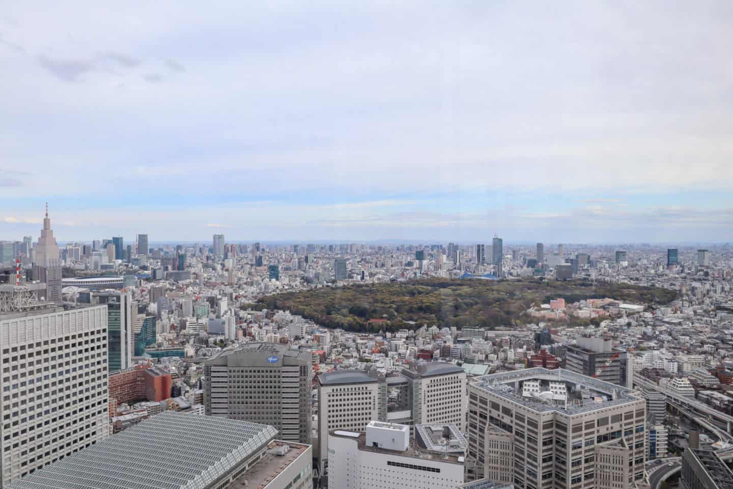 Tokyo Metropolitan Government Building Observation Deck View South Tower - The Wandering Quinn Travel Blog