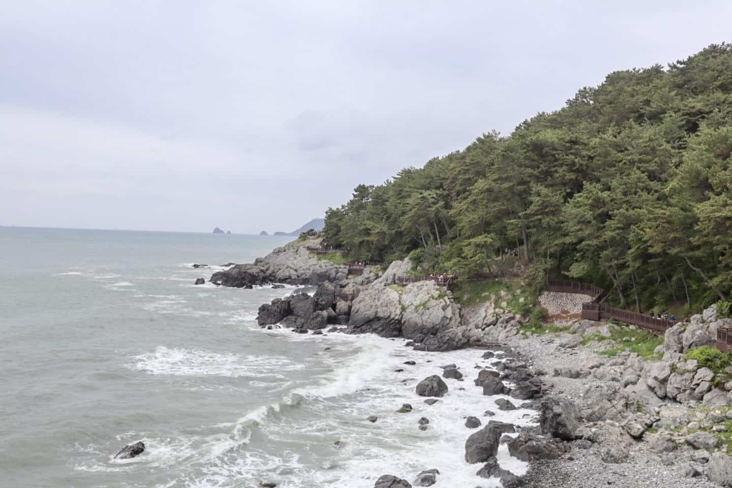 Dongbaek Park Busan - Dongbaek Park Busan