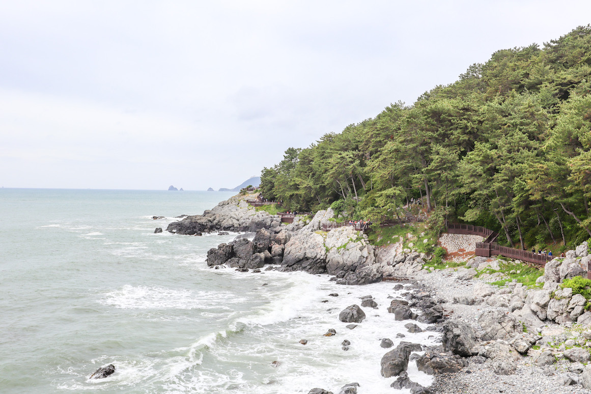 Dongbaek Park - Things to do in Busan, Dongbaek Park