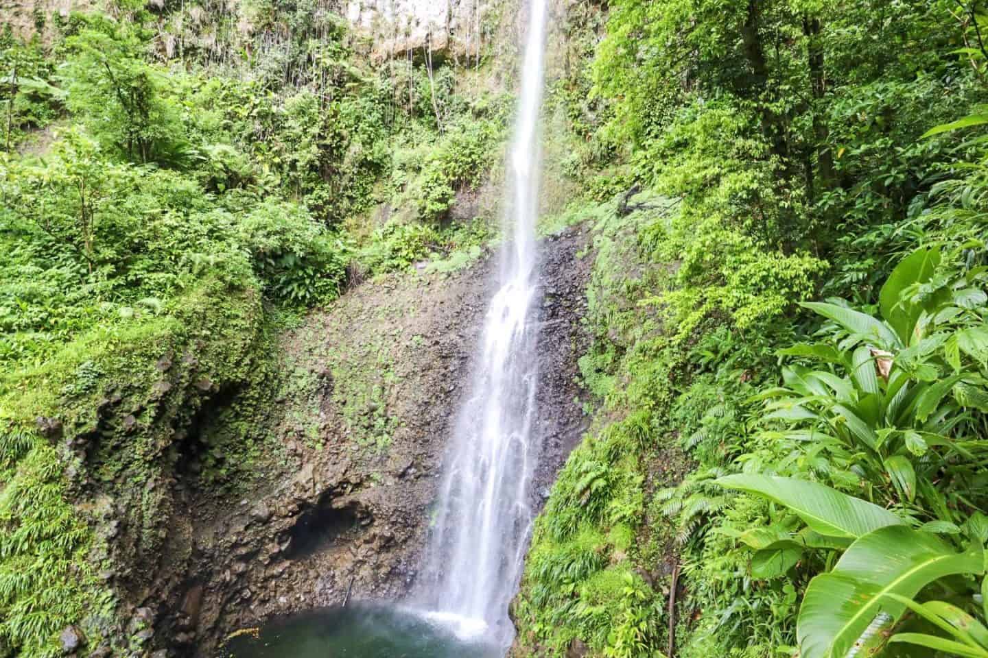 middleham fall dominica - dominica travel guide, middleham waterfall in Dominica in middle of rainforest