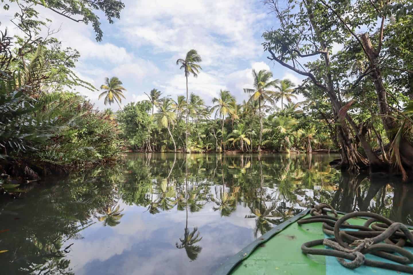 Indian River Cruise in Dominica - dominica travel guide, boat on indian river cruise with palm trees