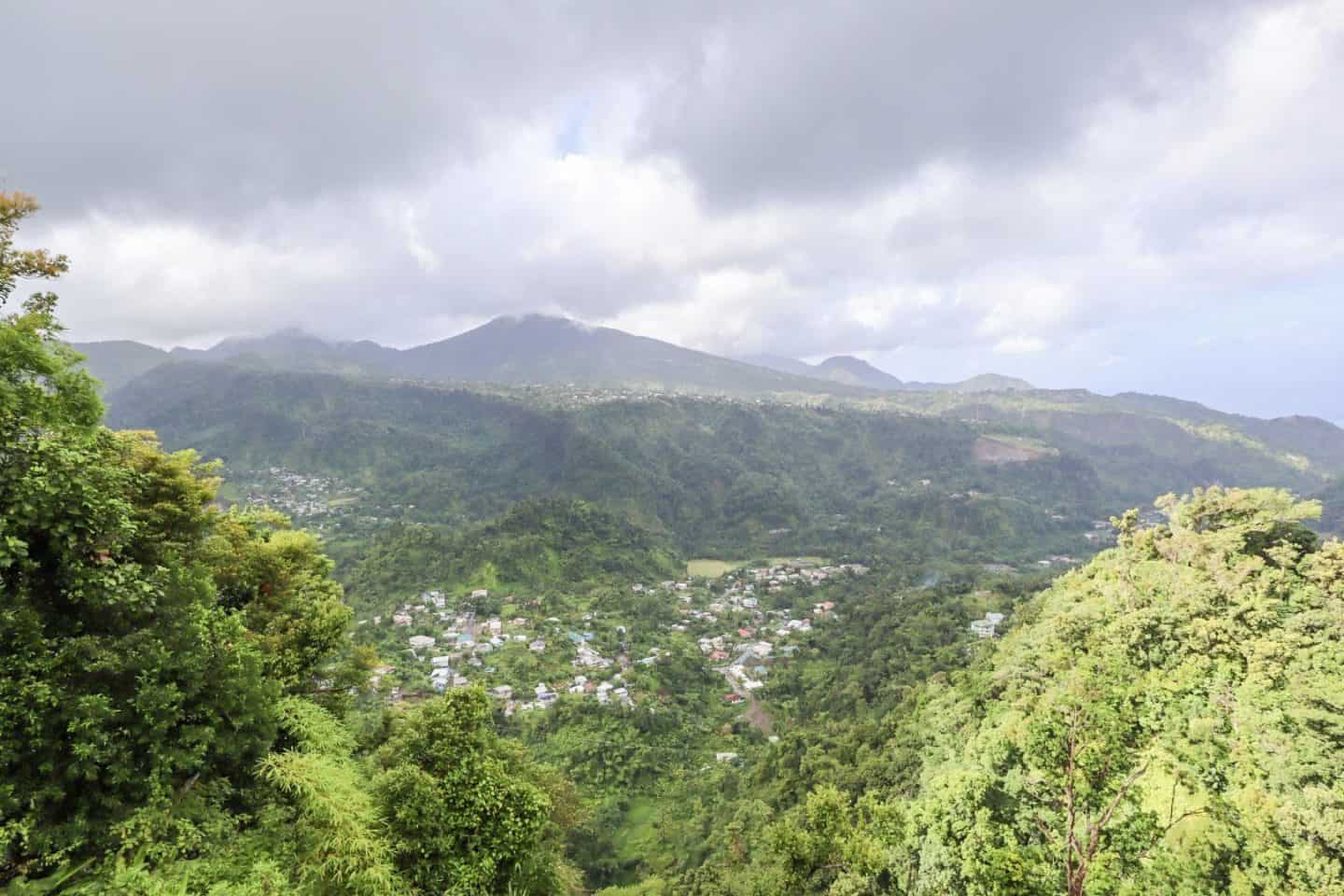 dominica hiking trail view - dominica travel guide, dominica mountain view