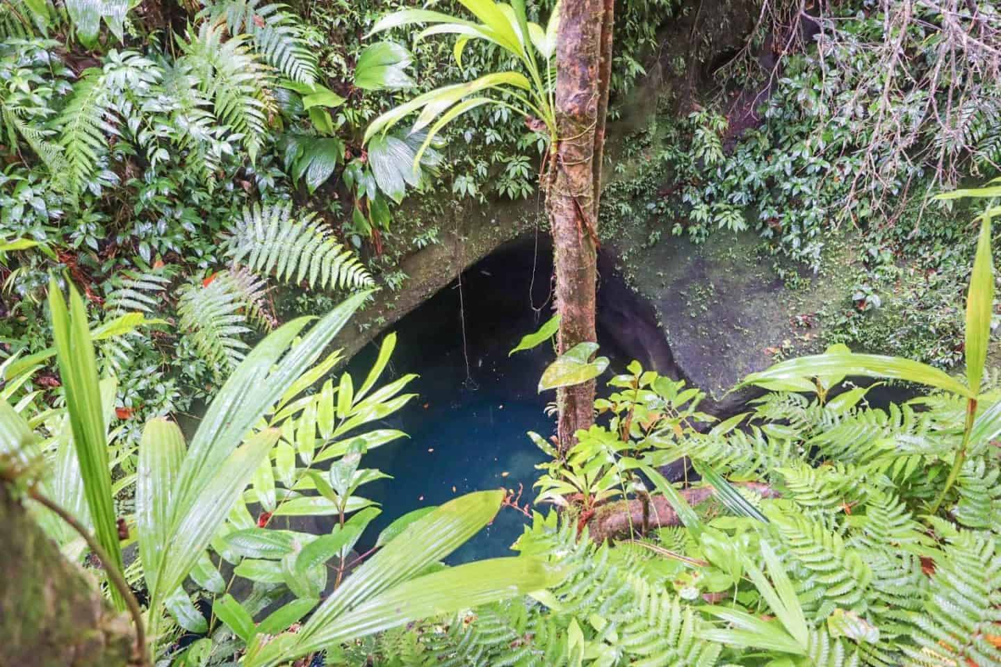 dominica travel guide, titou gorge pirates of the caribbean location dominica