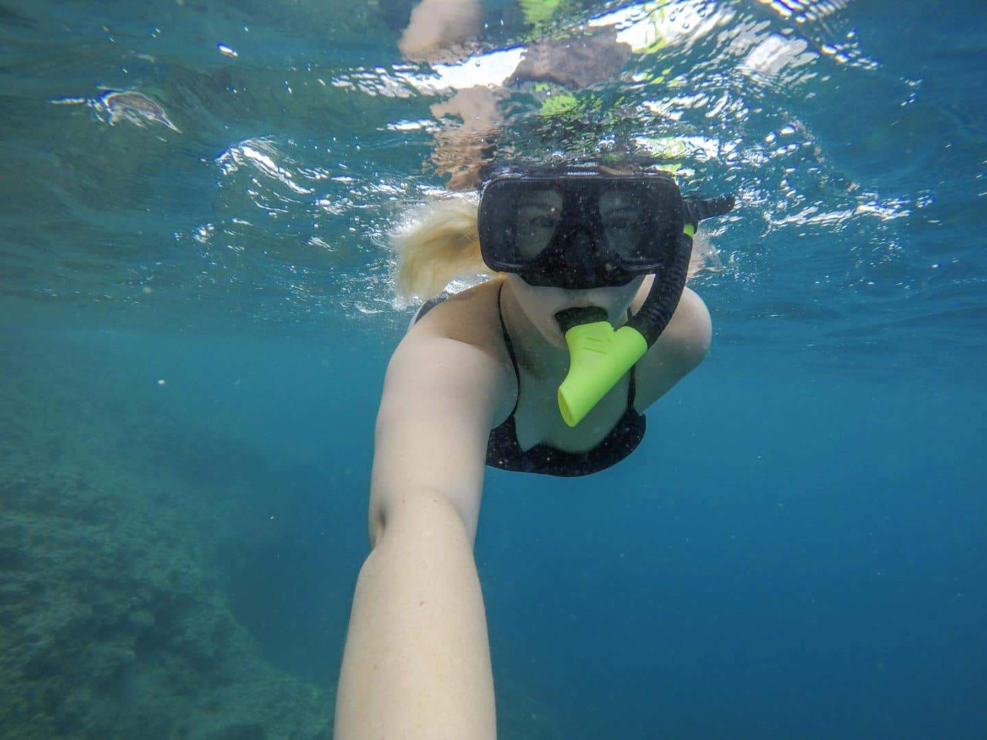 Snorkelling in Dominica - dominica travel guide, ellie quinn snorkelling in Dominica