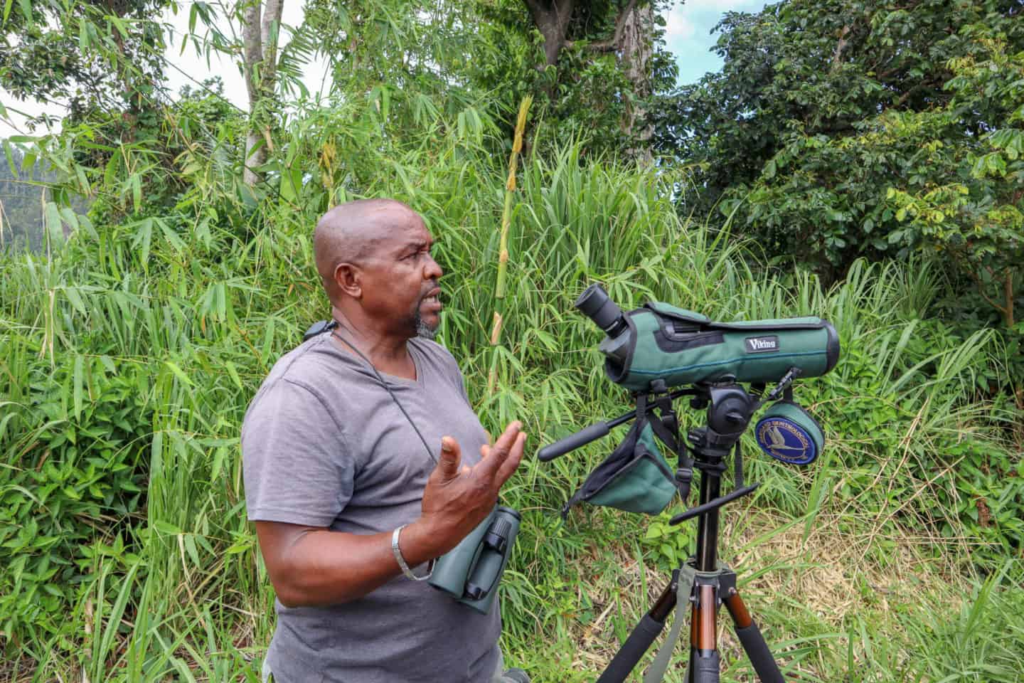 things to do in dominica, Dr Birdy in Dominica on Bird watching tour 
