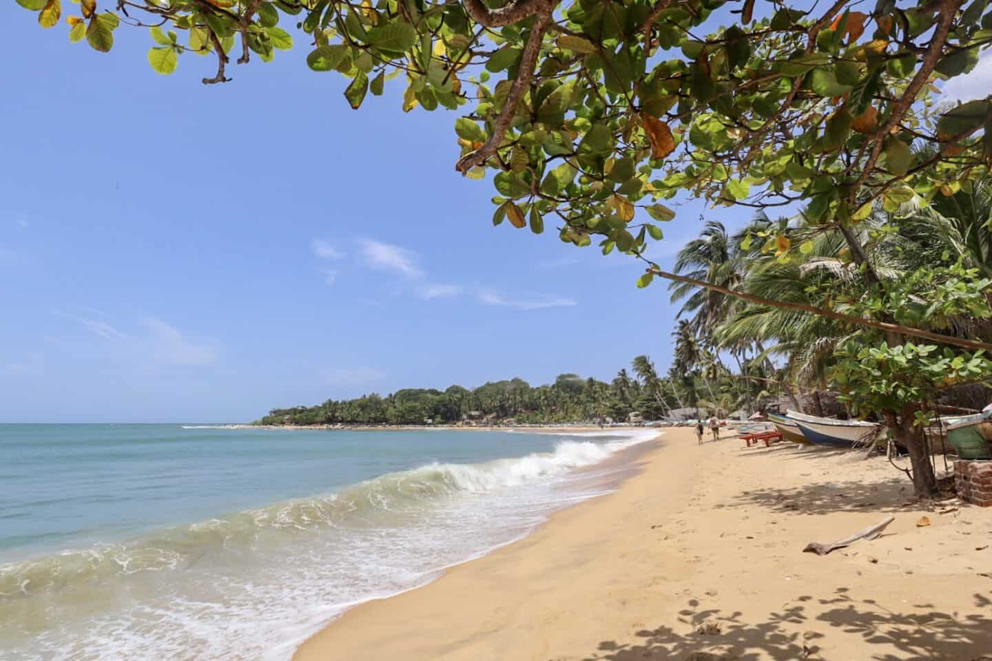 Arugam Bay Beach - places to visit in Sri Lanka on first trip, Arugam Bay Beach and Waves