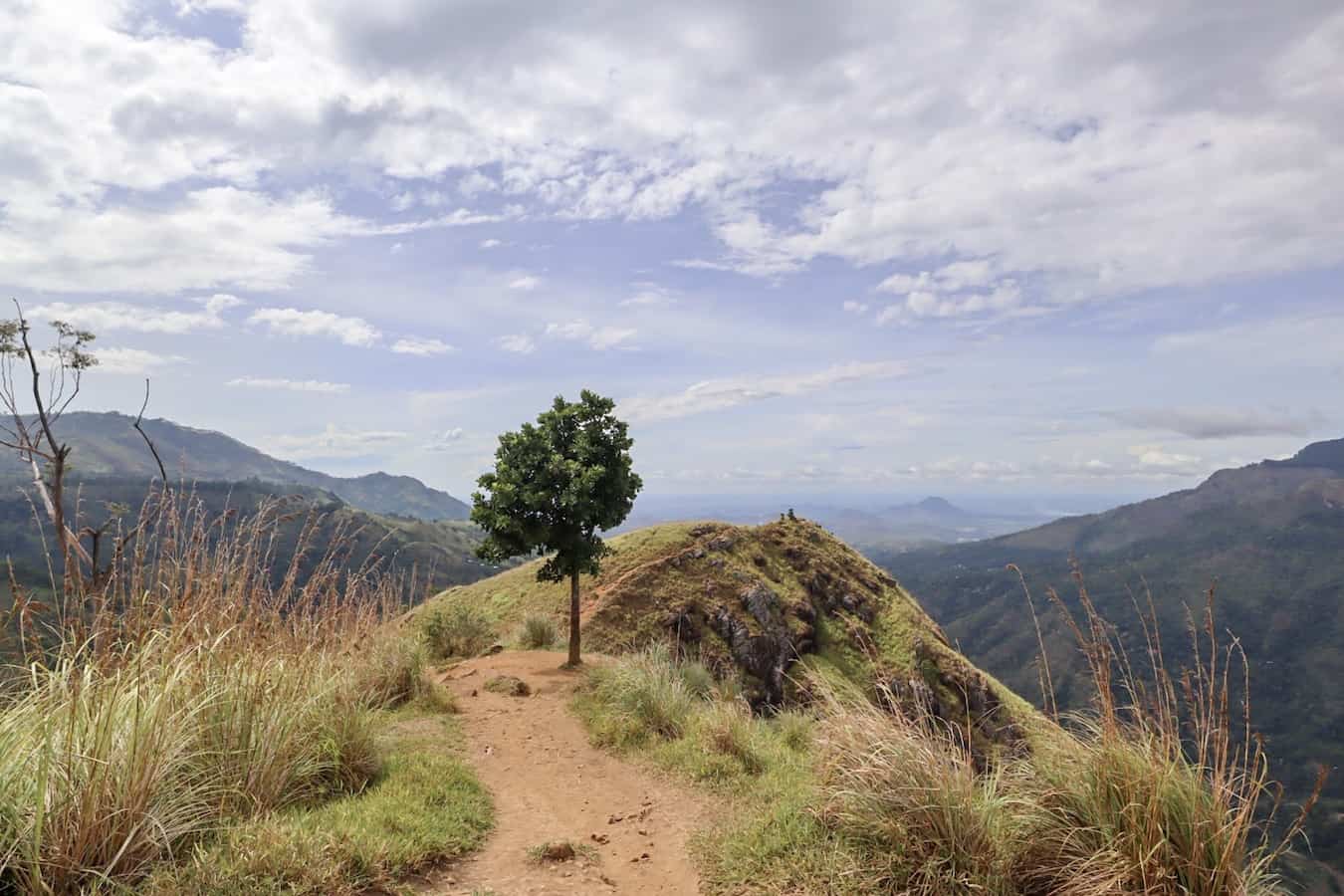 Top of Little Adams Peak - view of the mountains from the top of Little Adams Peak