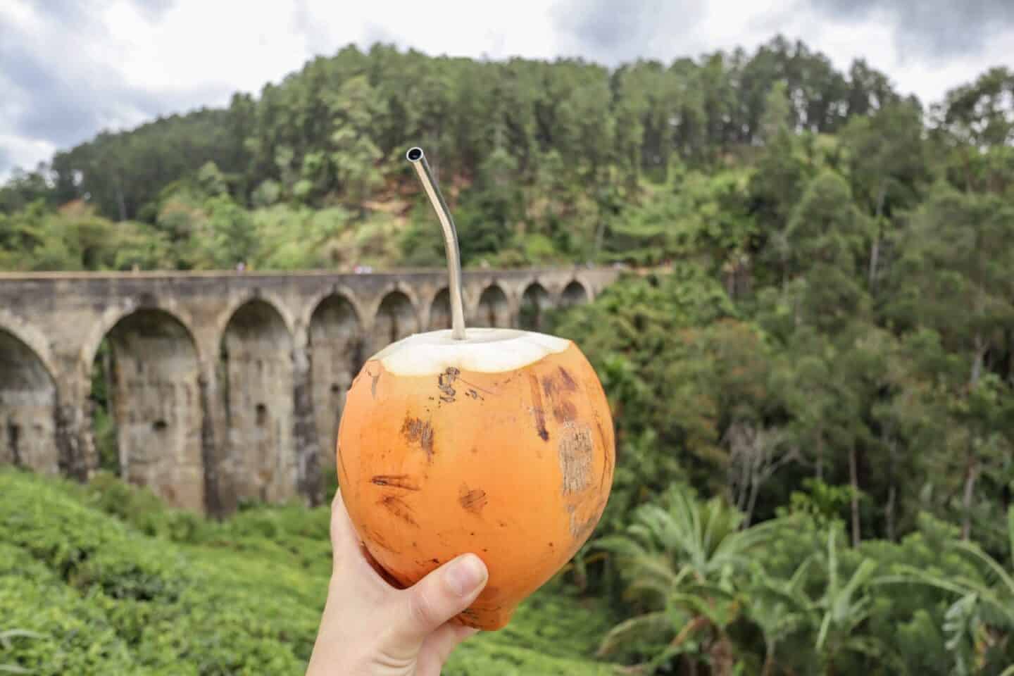 Nine Arch Bridge Ella Coconut - coconut infront of nine arch bridge ella | how to see the nine arch bridge