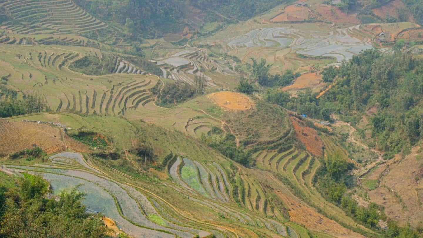 Sapa Vietnam - Green Sapa Rice Paddies weather | best places to travel in Asia in July and August