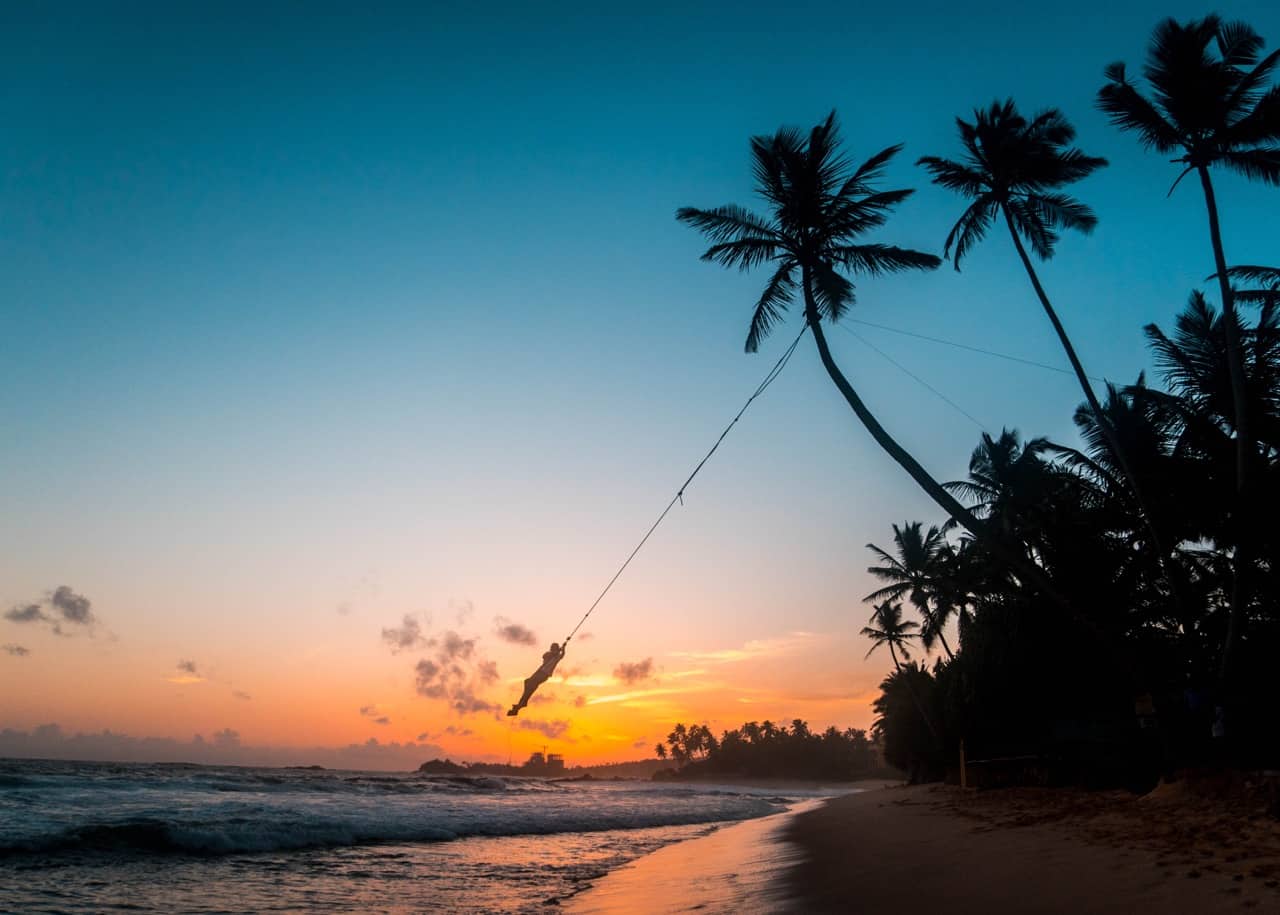 Sri Lanka Palm Tree - Sri Lanka sunset beach weather | best places to travel in Asia in July and August