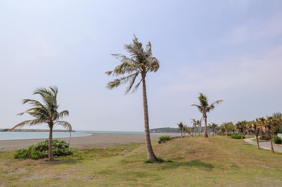 Cijin Island Black Beach - Kaohsiung to Cijin Island, Cijin Island Black Beach and Palm Trees