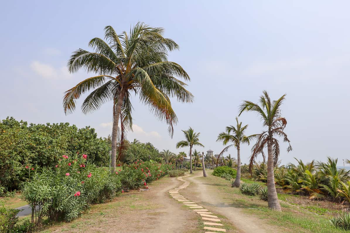 Cijin Island - Kaohsiung to Cijin Island, Cijin Island sandy path with palm trees by beach