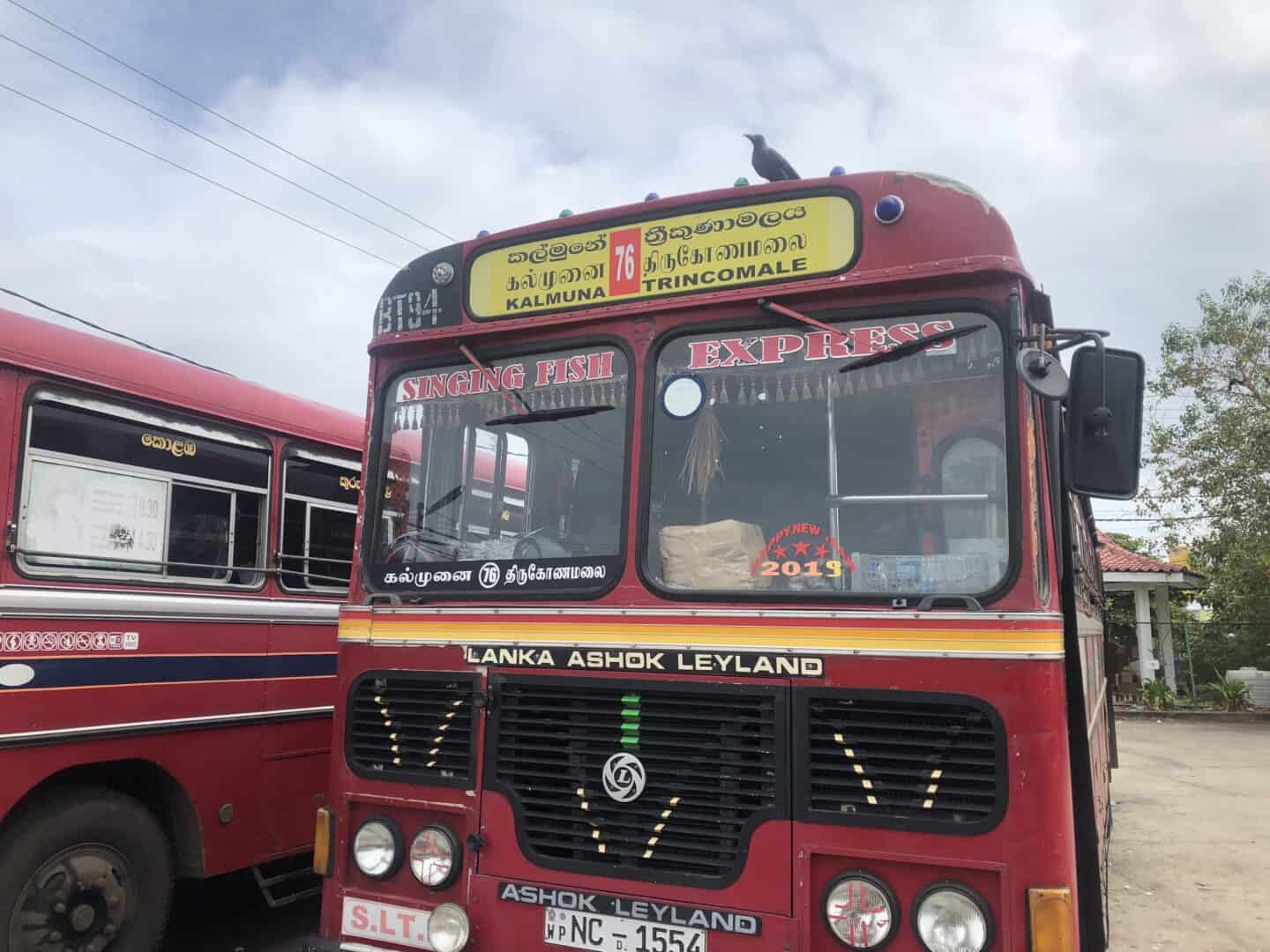 Sri Lankan Local Bus - Cost of Travel in Sri Lanka, red local bus in Sri Lanka