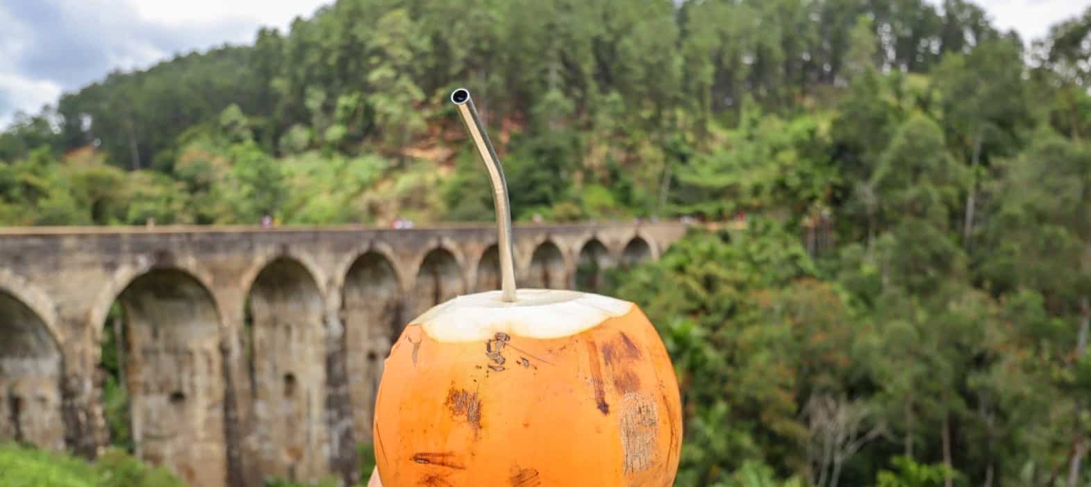 Cost of Travel in Sri Lanka