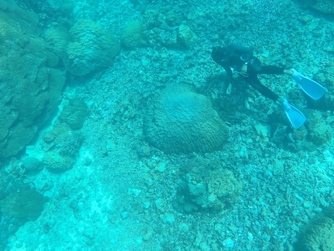 Snorkelling in Okinawa - things to do in Miyakojima, snorkelling in Okinawa