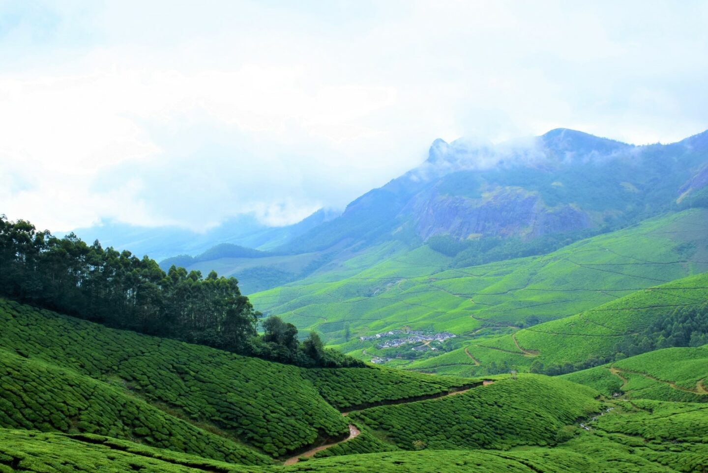 Kerela Kolukkumalai (1) - kerala tea plantations | best places to travel in Asia December and January
