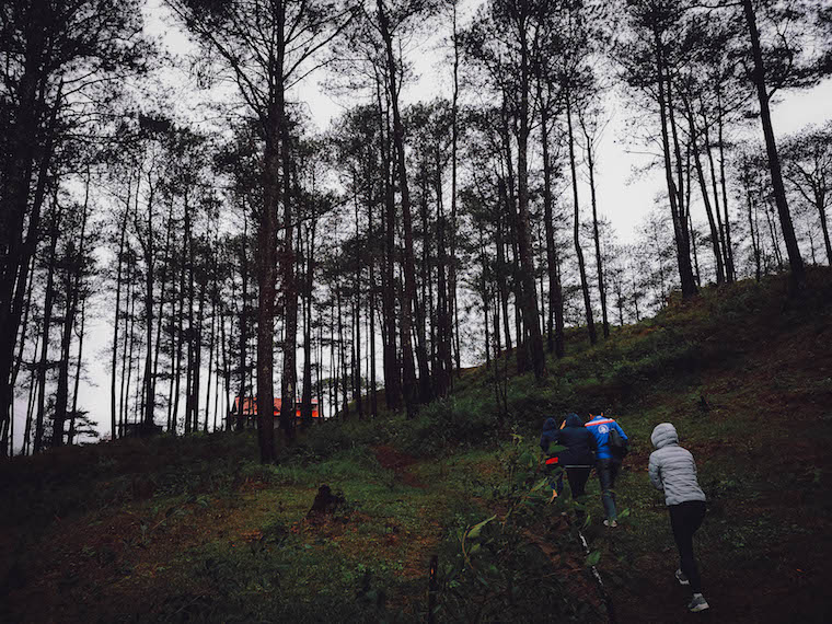Sagada Philippines Hike - Sagada trees hike | best places to travel in Asia December and January