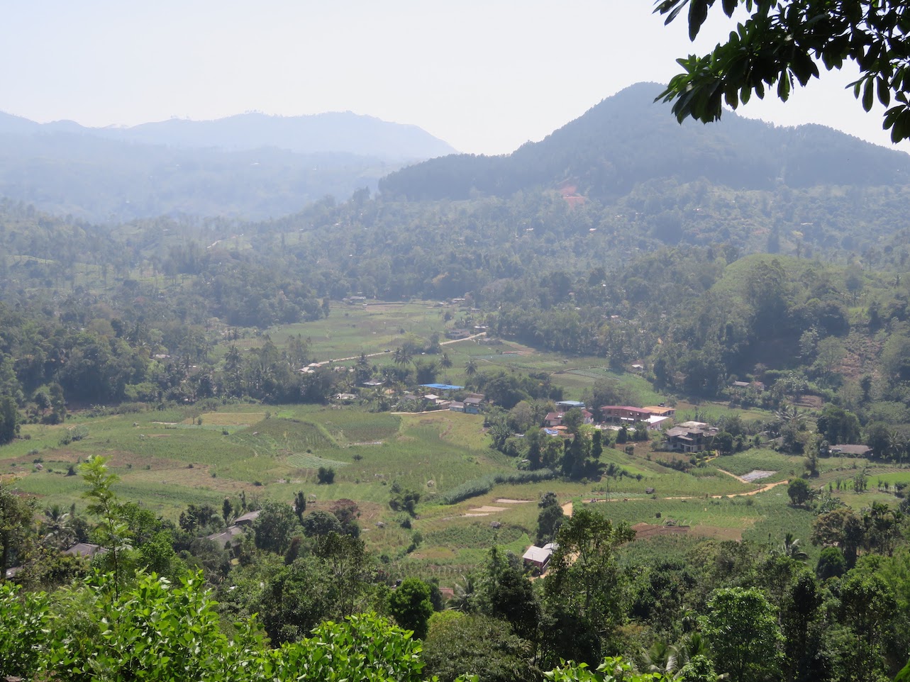 Sri Lanka Hill Country - Green fields Sri Lanka | best places to travel in Asia December and January