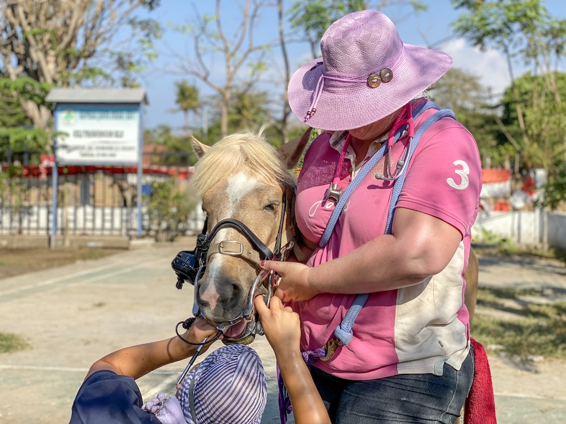 Horse Clinic on Gili T Dental Work - Gili T Horses