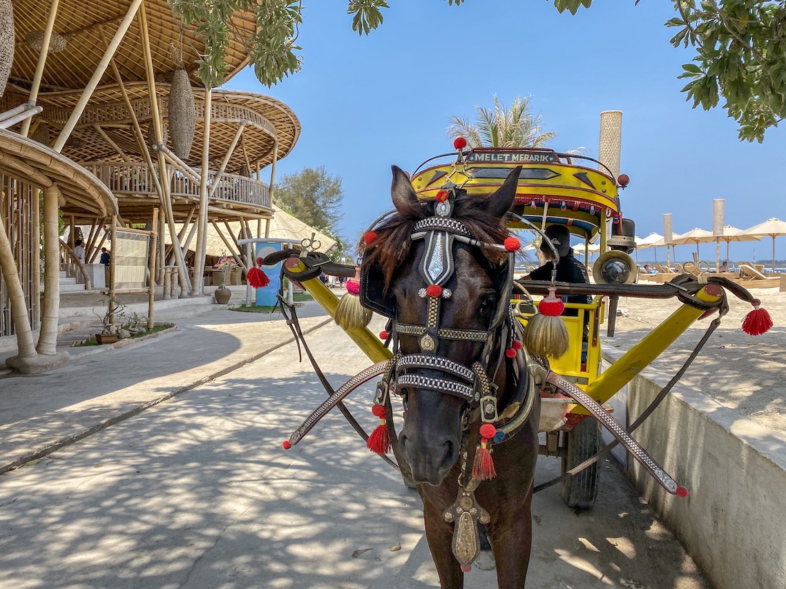 Horse and Cart Cidomo in Gili T - Gili Islands, Horse and Cart Cidomo in Gili T