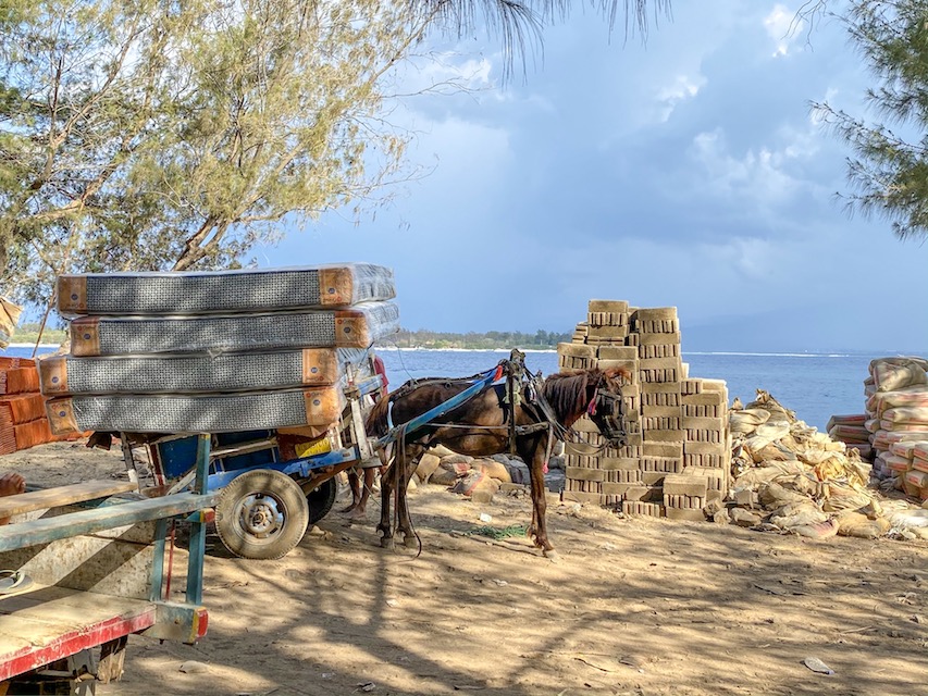 Horse and Carts on Gili T - Gili T Horses