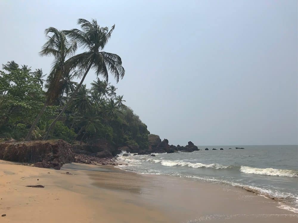 Morjim beach araioflight - Morjim Beach | best beaches in Goa for foreigners