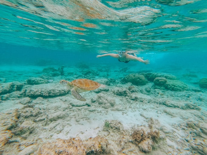 Turtles and Snorkelling Gili T - things to do in Gili Trawangan, snorkelling turtles