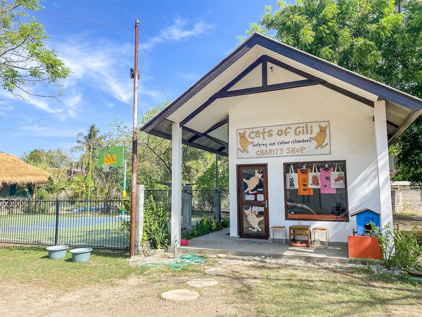 Cats of Gili Shop - things to do in Gili Trawangan, Cats of Gili Shop