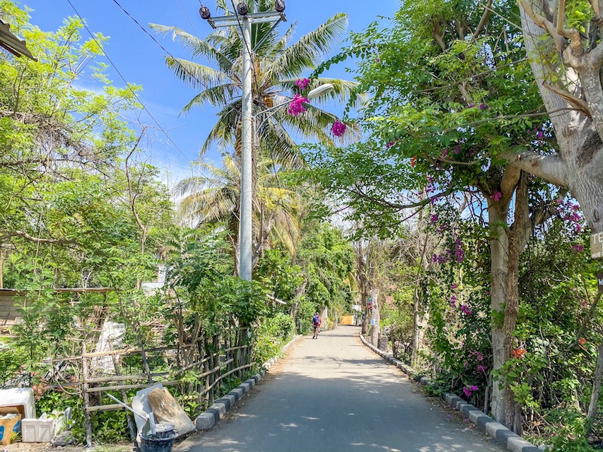 Gili Air Streets - Gili Islands, Gili Air streets and flowers