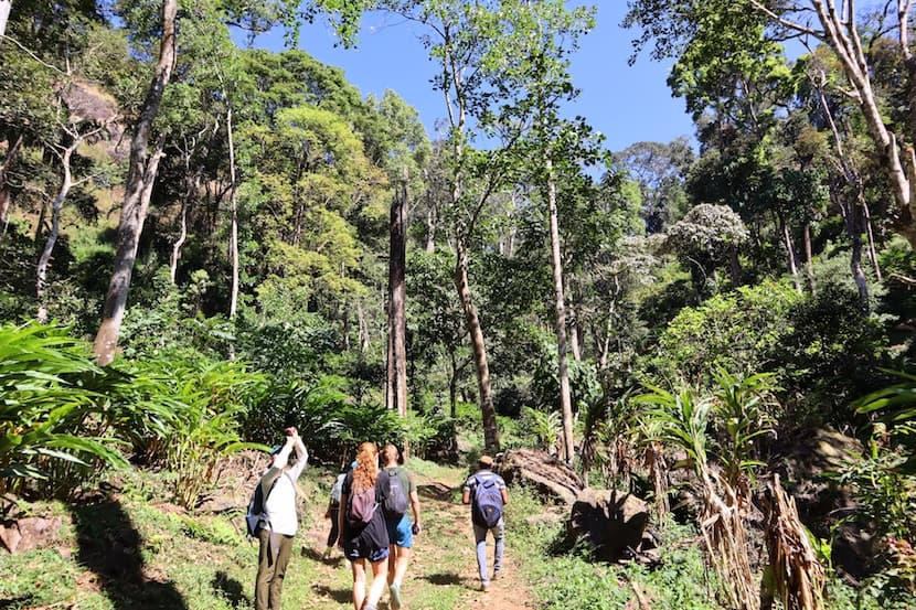 Hiking in Munnar Kerala