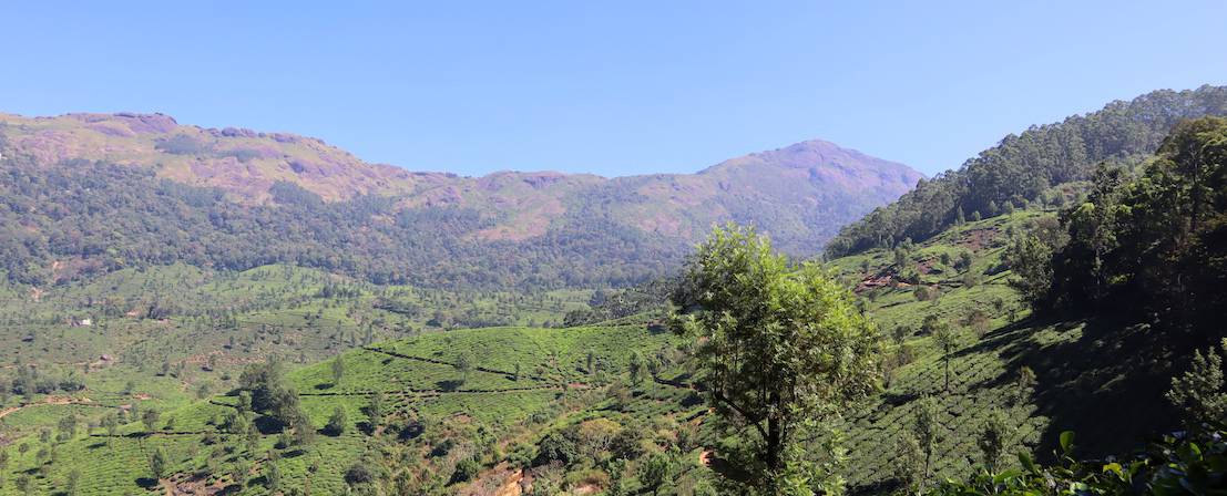 human by nature kerala