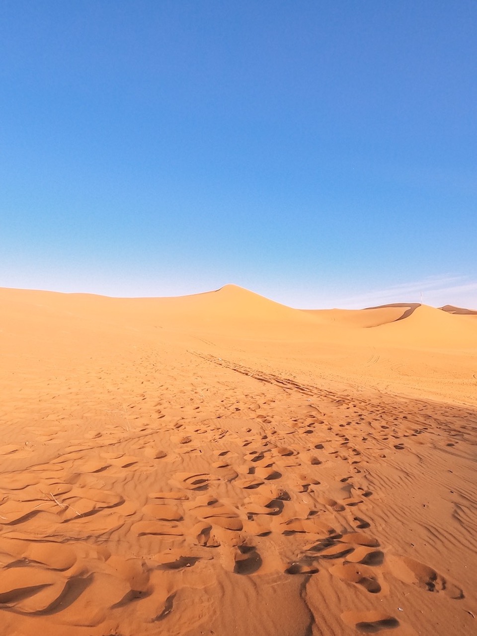things to do in Riyadh, red sand dunes tour Riyadh - things to do in Riyadh, red sand dunes tour Riyadh