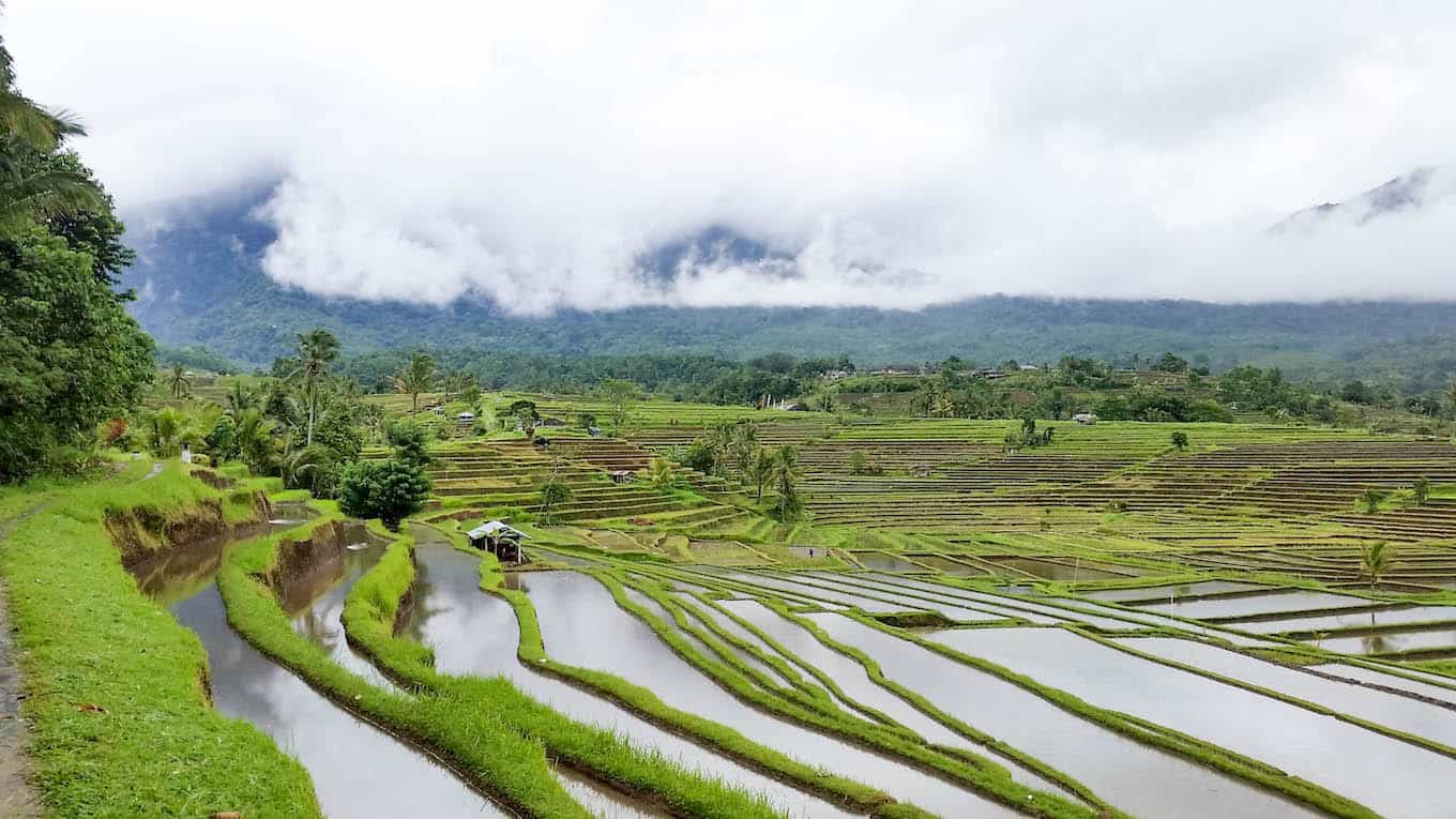 Jatiluwih Rice Terraces - Jatiluwih Rice Terraces | Best Bali Sunset