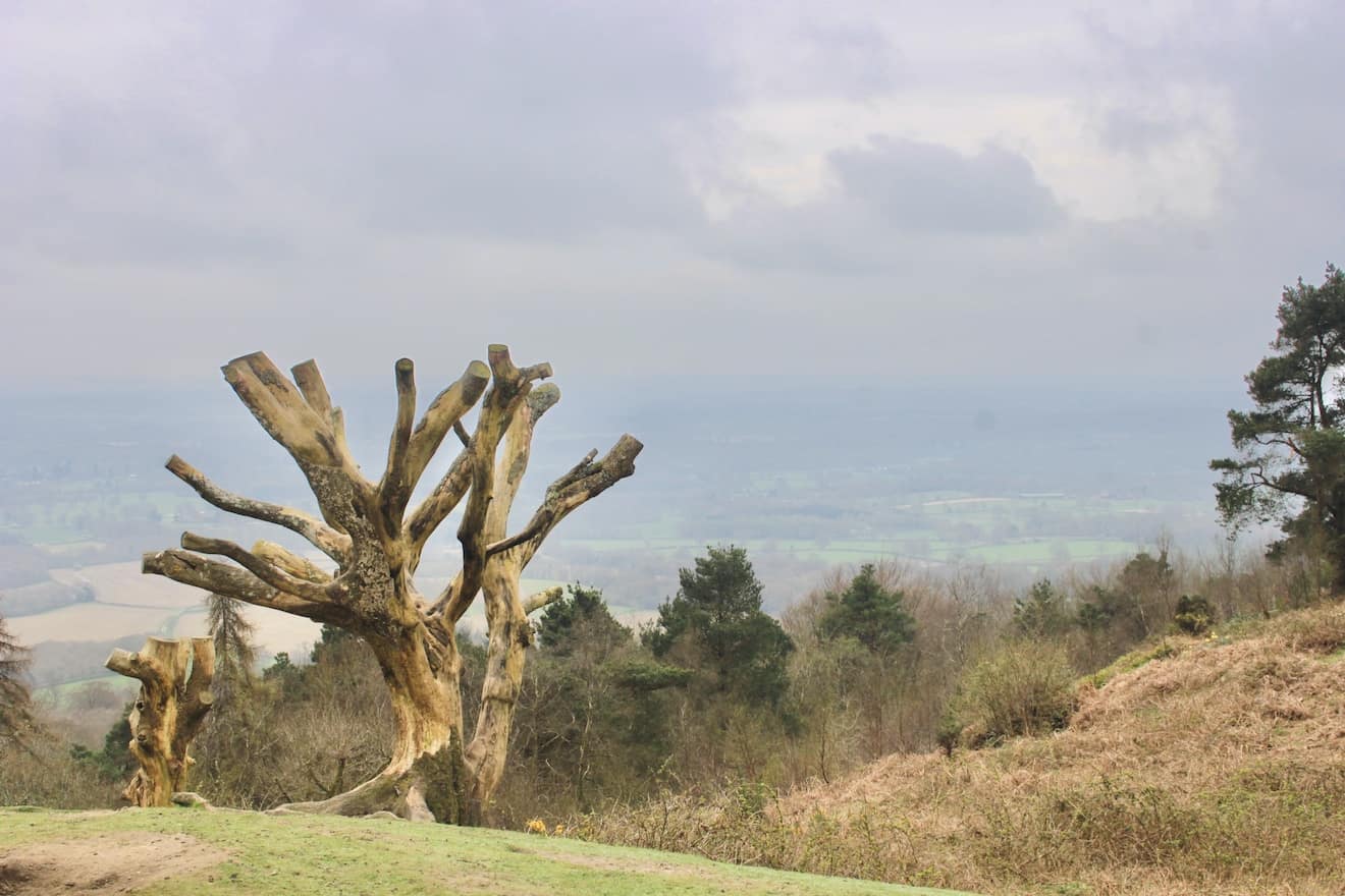 Box Hill day trip from London by train