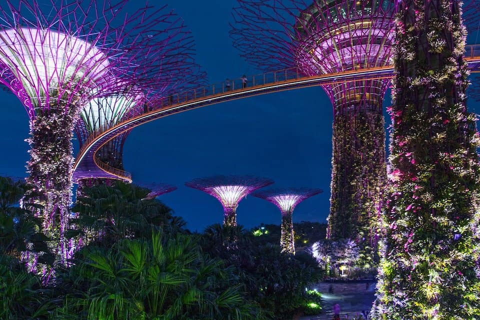 One Day in Singapore, Gardens By The Bay at Night - One Day in Singapore, Gardens by the bay at night