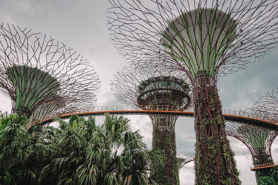 One Day in Singapore, gardens by the bay - One Day in Singapore, Gardens by the bay