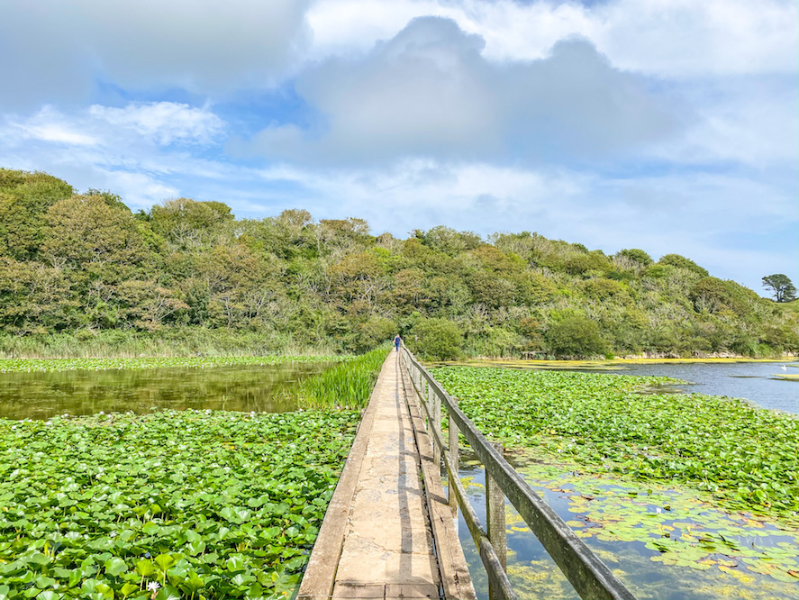 Bosherston Lilly Ponds - Bosherston Lilly Ponds