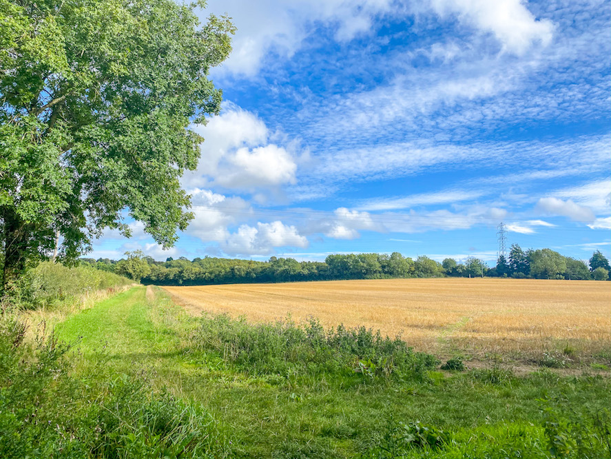 Daventry Country Park - Daventry Country Park Walk