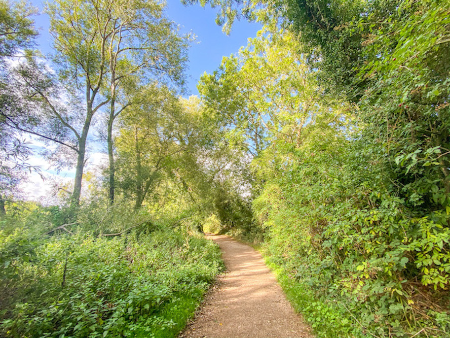 Daventry Country Park Footpath - Daventry Country Park Footpath