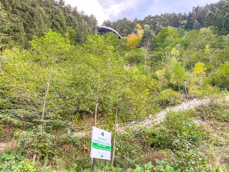 Uzungöl Observation Deck - things to do in Uzungöl, Uzungöl Observation Deck