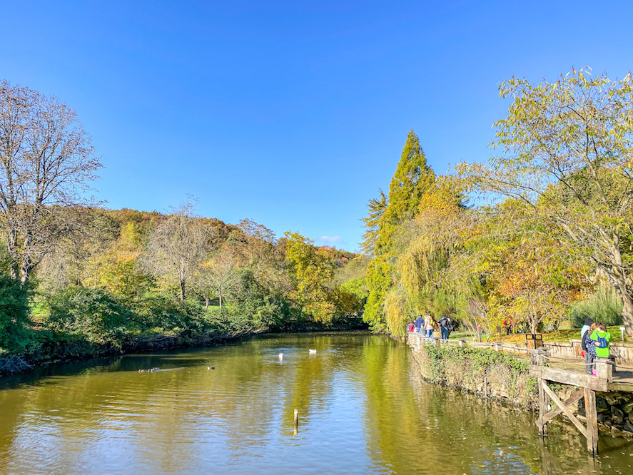 Ataturk Arboretumu park and lake in autumn sunshine, Istanbul Hidden Gems - Ataturk Arboretumu park and lake in autumn sunshine, Istanbul Hidden Gems