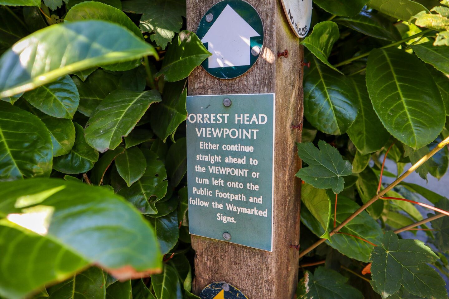 Orrest Head Walk - Orrest Head Walk, Orrest Head Path