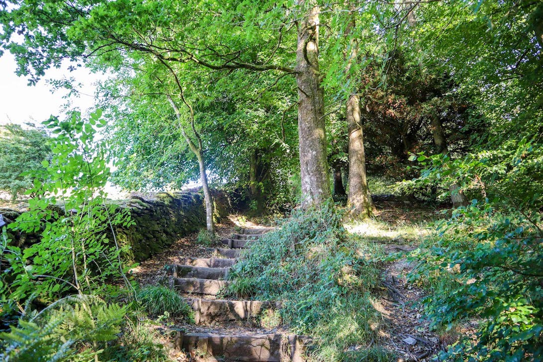 Orrest Head Walk - Orrest Head Walk, Orrest Head Path