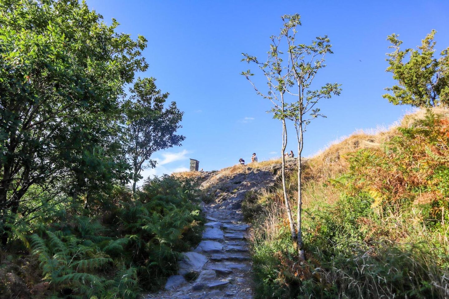 Orrest Head Walk - Orrest Head Walk, Orrest Head Path