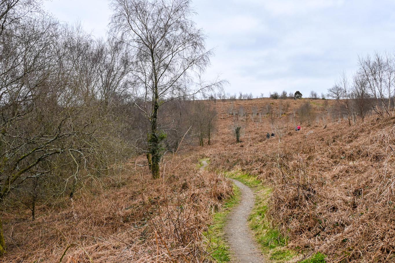 Caerphilly Mountain footpath - Caerphilly Mountain footpath