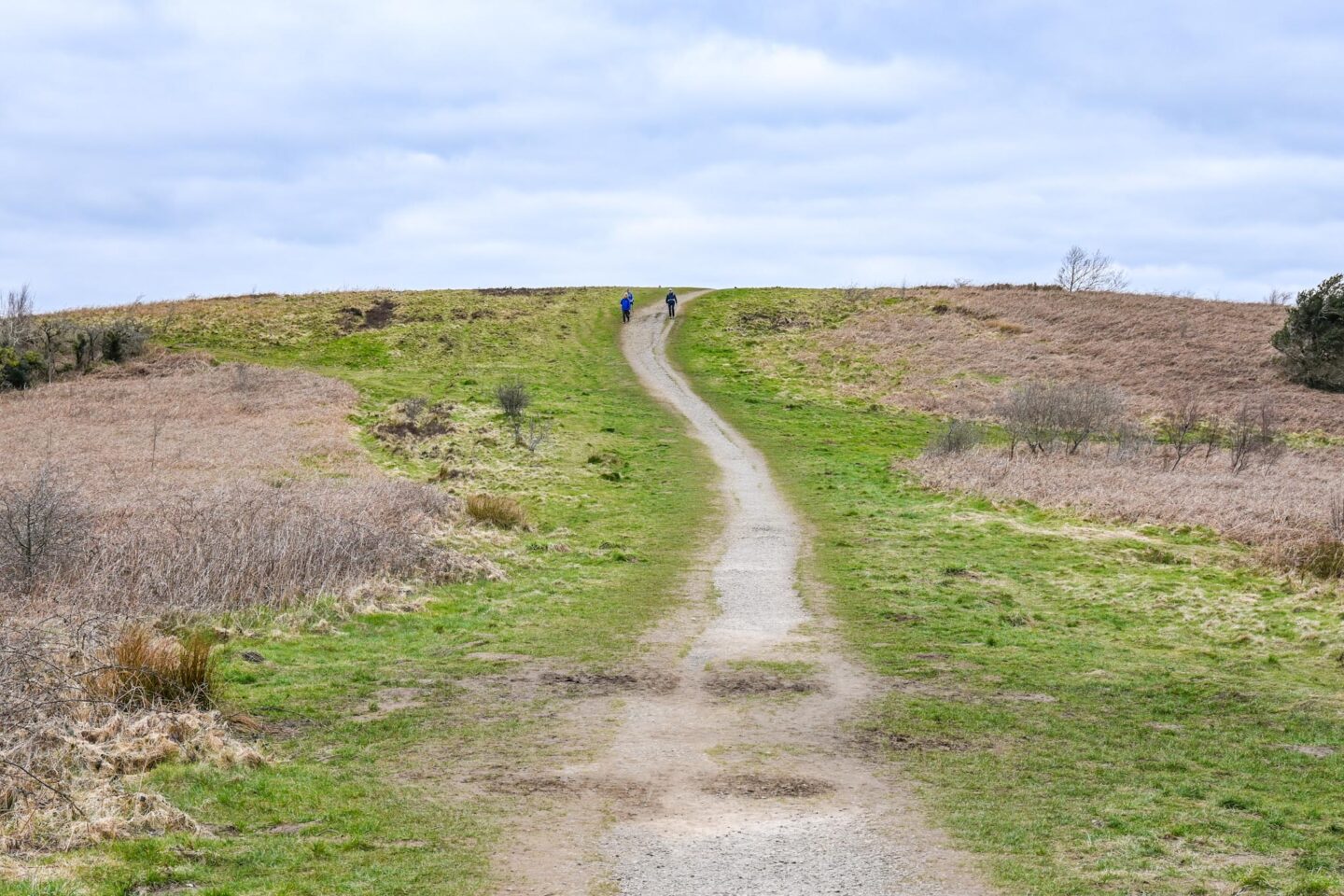 Caerphilly Mountain path to top - Caerphilly Mountain path to the top