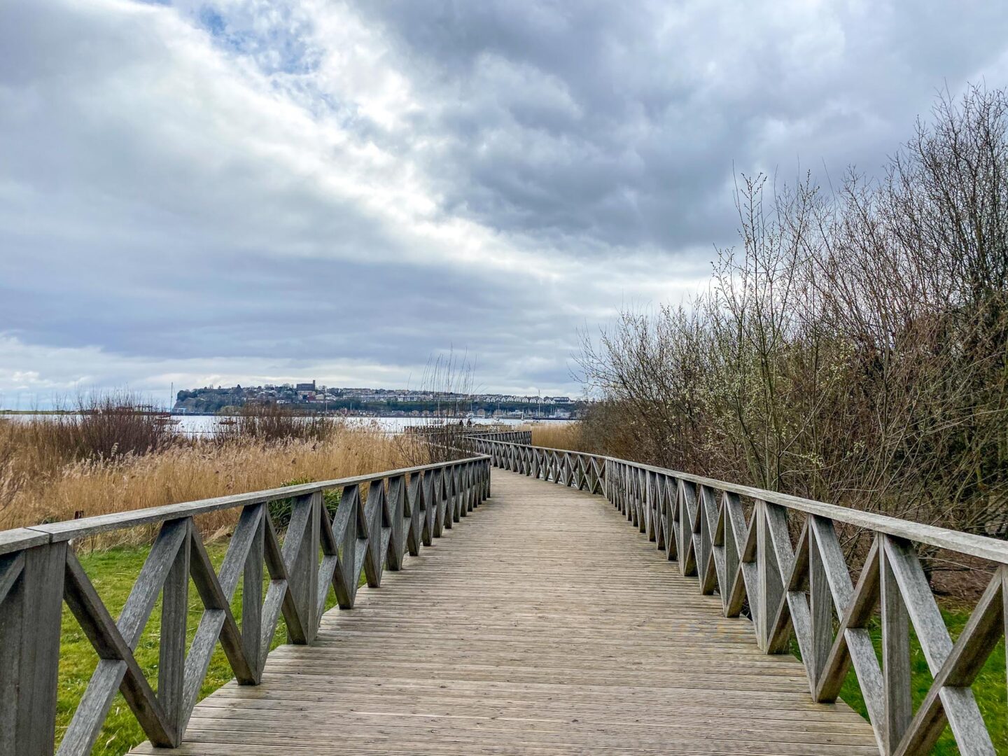 Cardiff Bay Wetlands Reserve - Cardiff Bay Wetlands Reserve